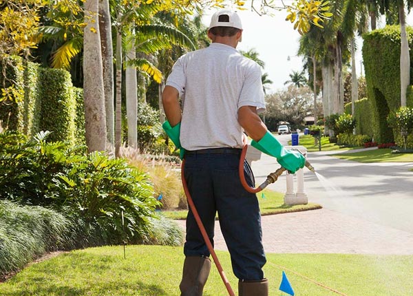 About Mount Lemmon AZ Pest Control